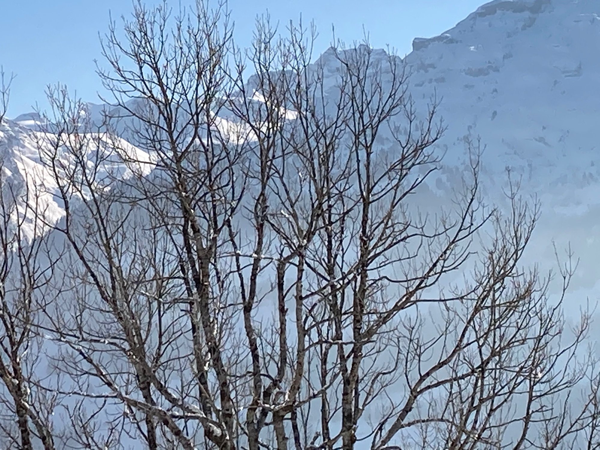 numerologie - 2021 = 5