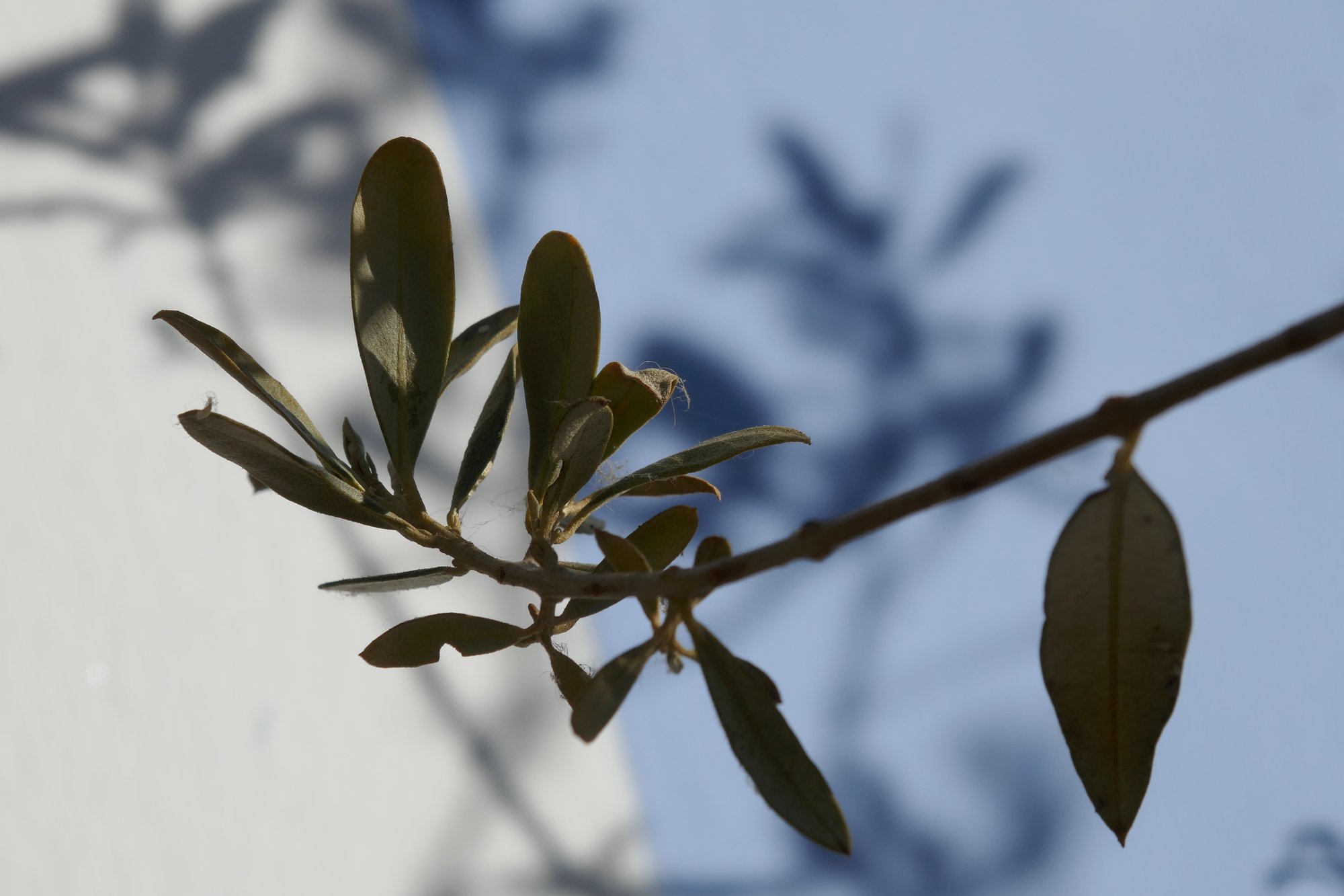 sand im weltengetriebe