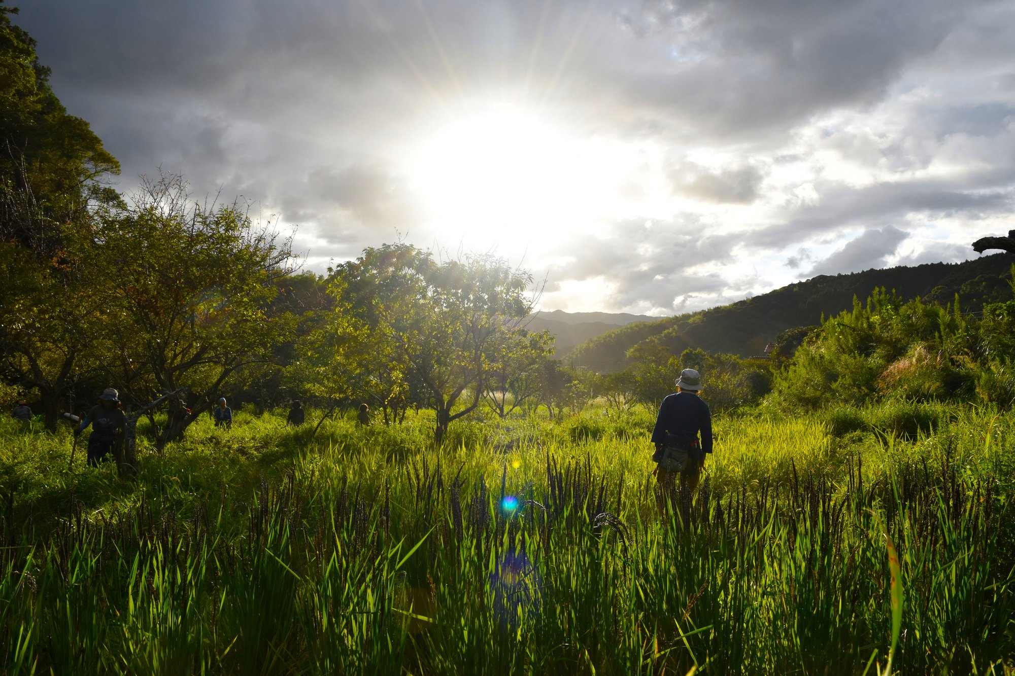 長編ドキュメンタリー映画「杜人(もりびと)　環境再生医  矢野智徳の挑戦」