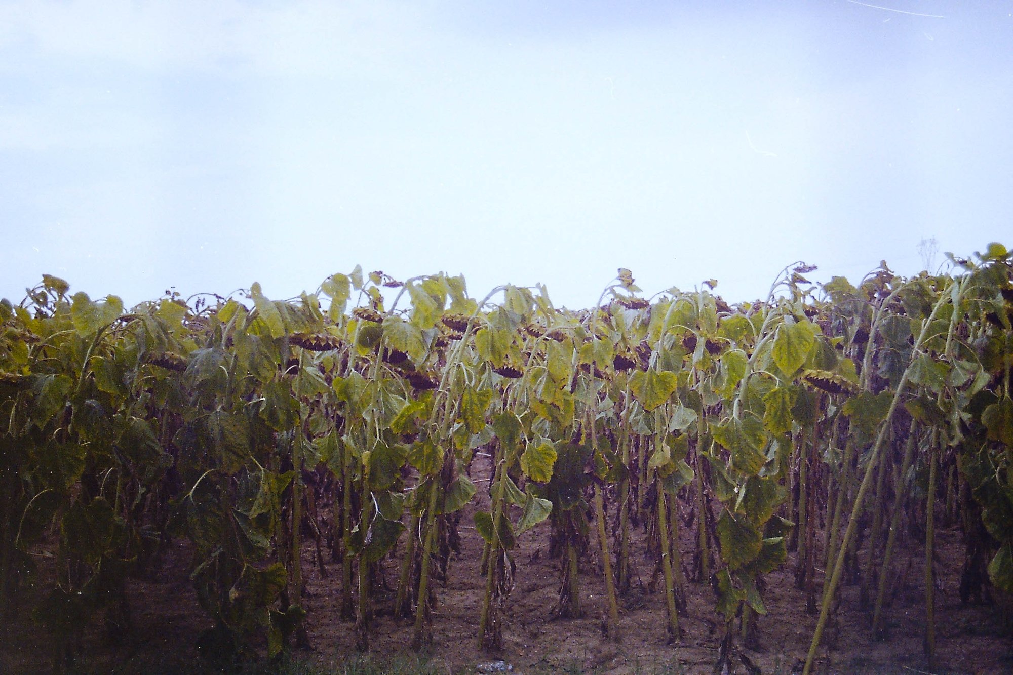 Failure of Imagination - The Warmest Place on Earth