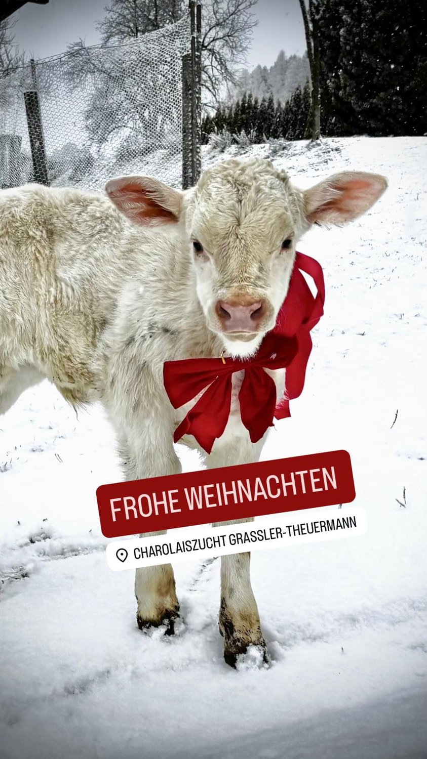 Frohe Weihnachten
