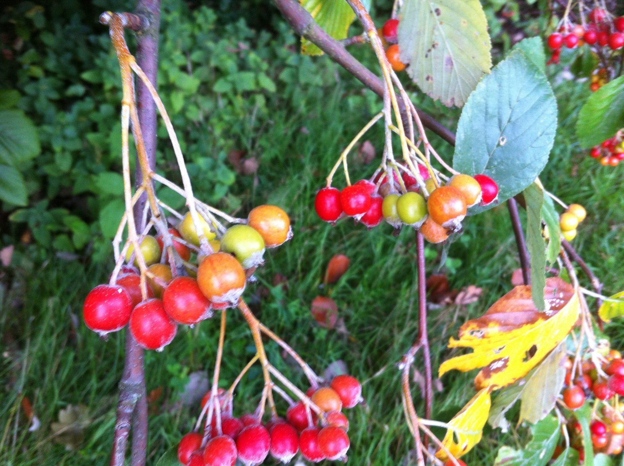 Comment passer un bel automne ?