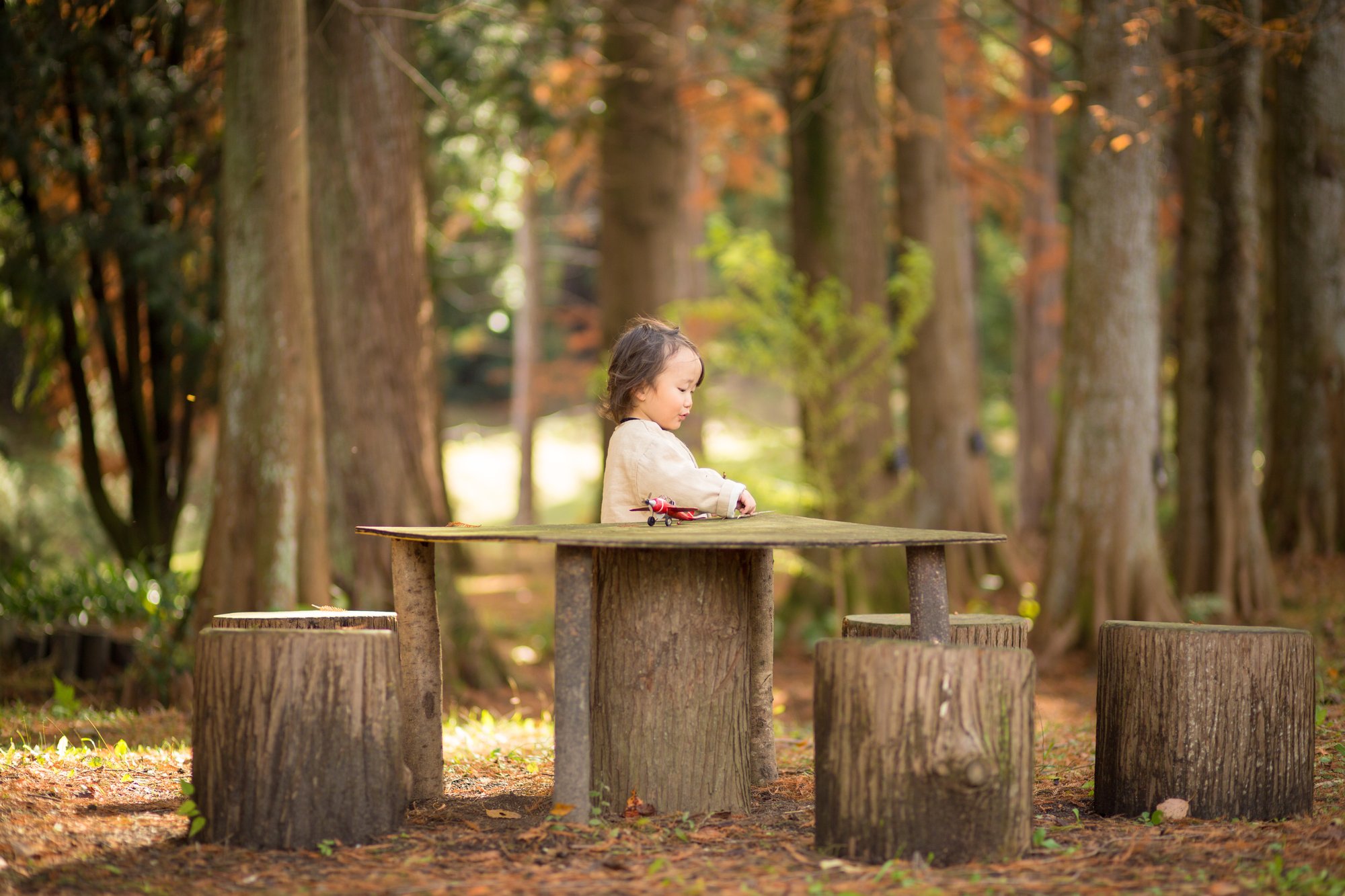 ＜募集中＞『11・12月一眼レフビギナークラス』