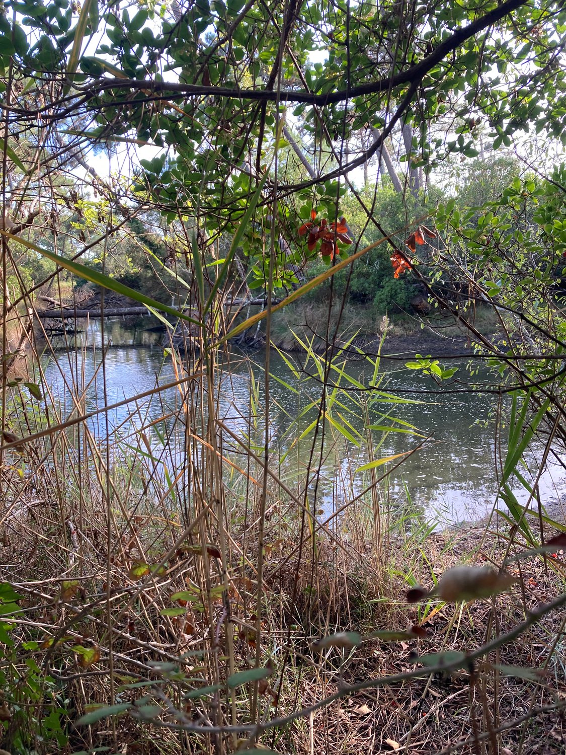 Les bottes de 7 lieues