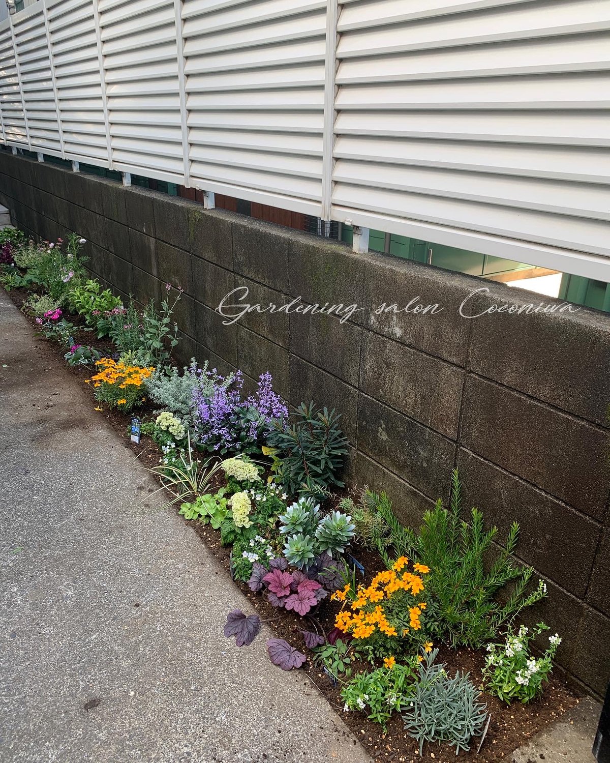 玄関アプローチの花壇植栽