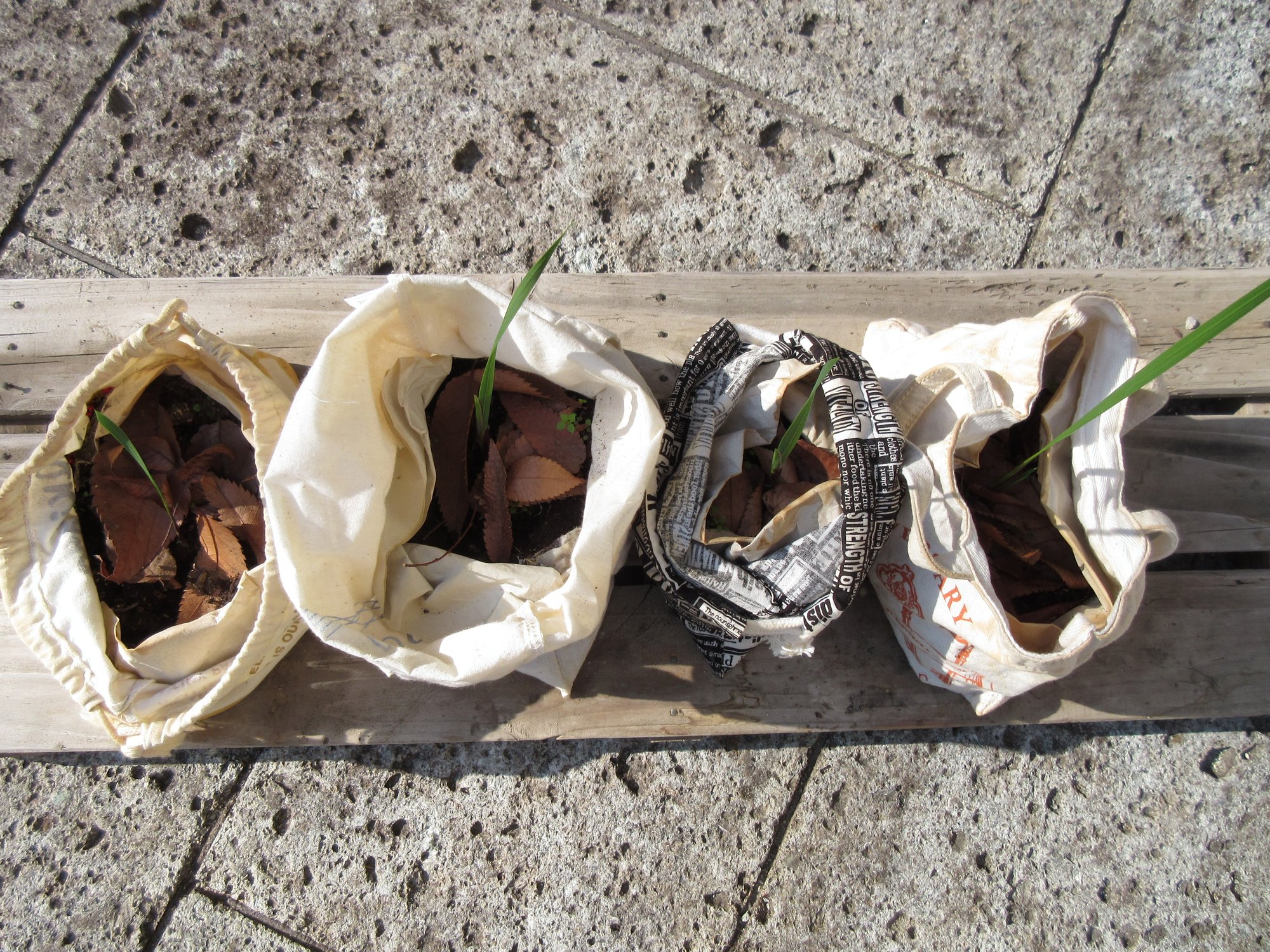 エコ園芸のススメ