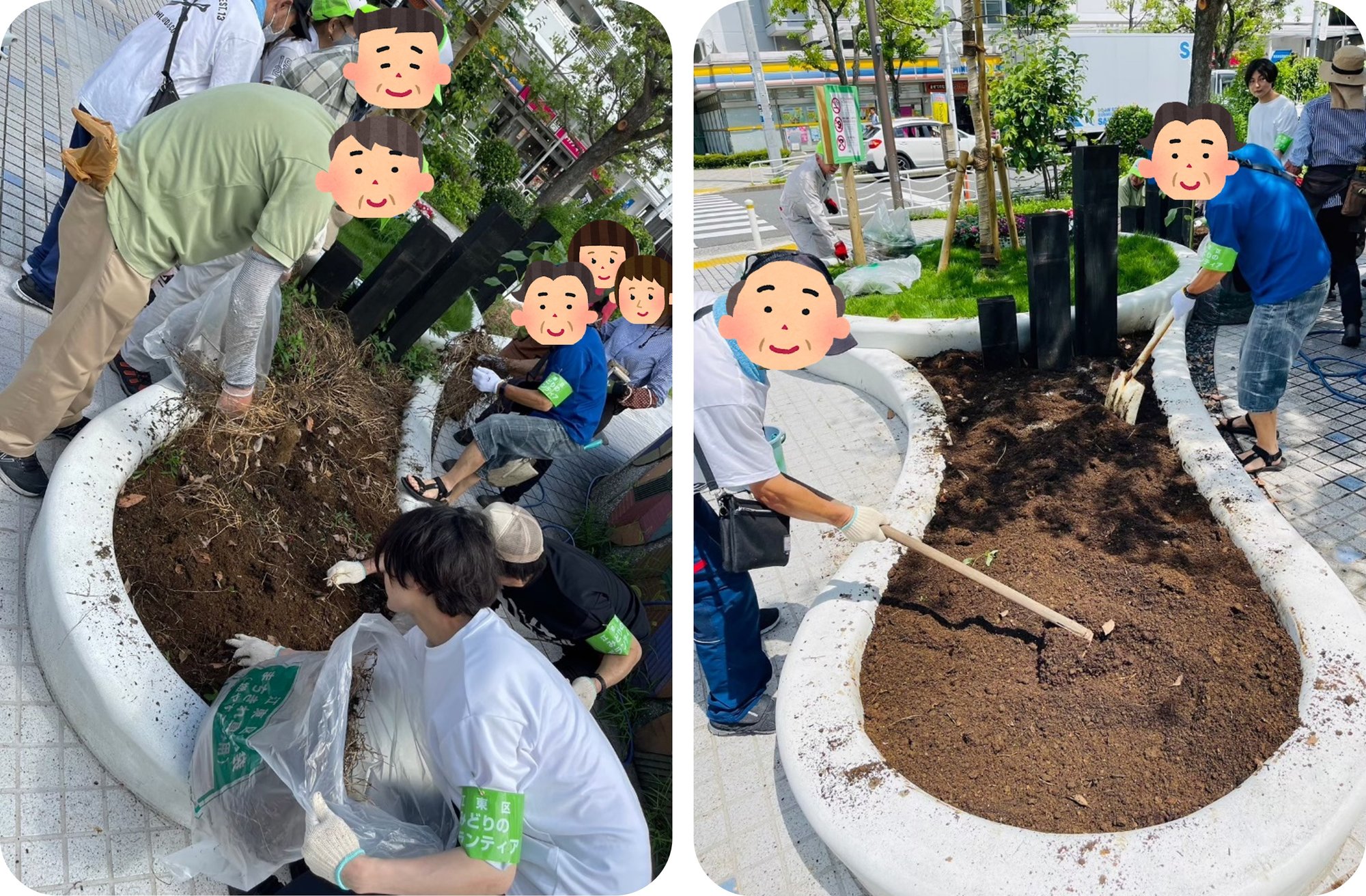 【さざなみ苑】駅前花壇にお花が咲いたよ✿