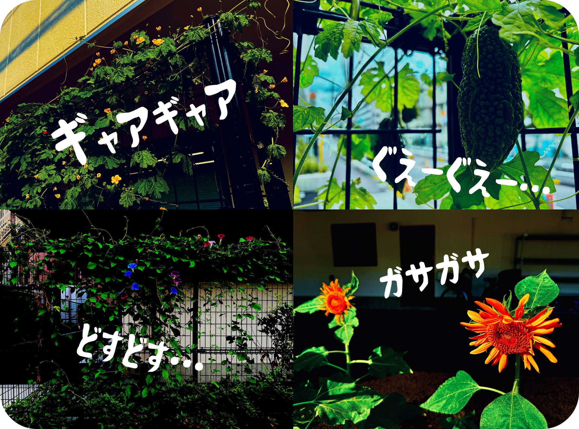 【北寮】緑の楽園へようこそ