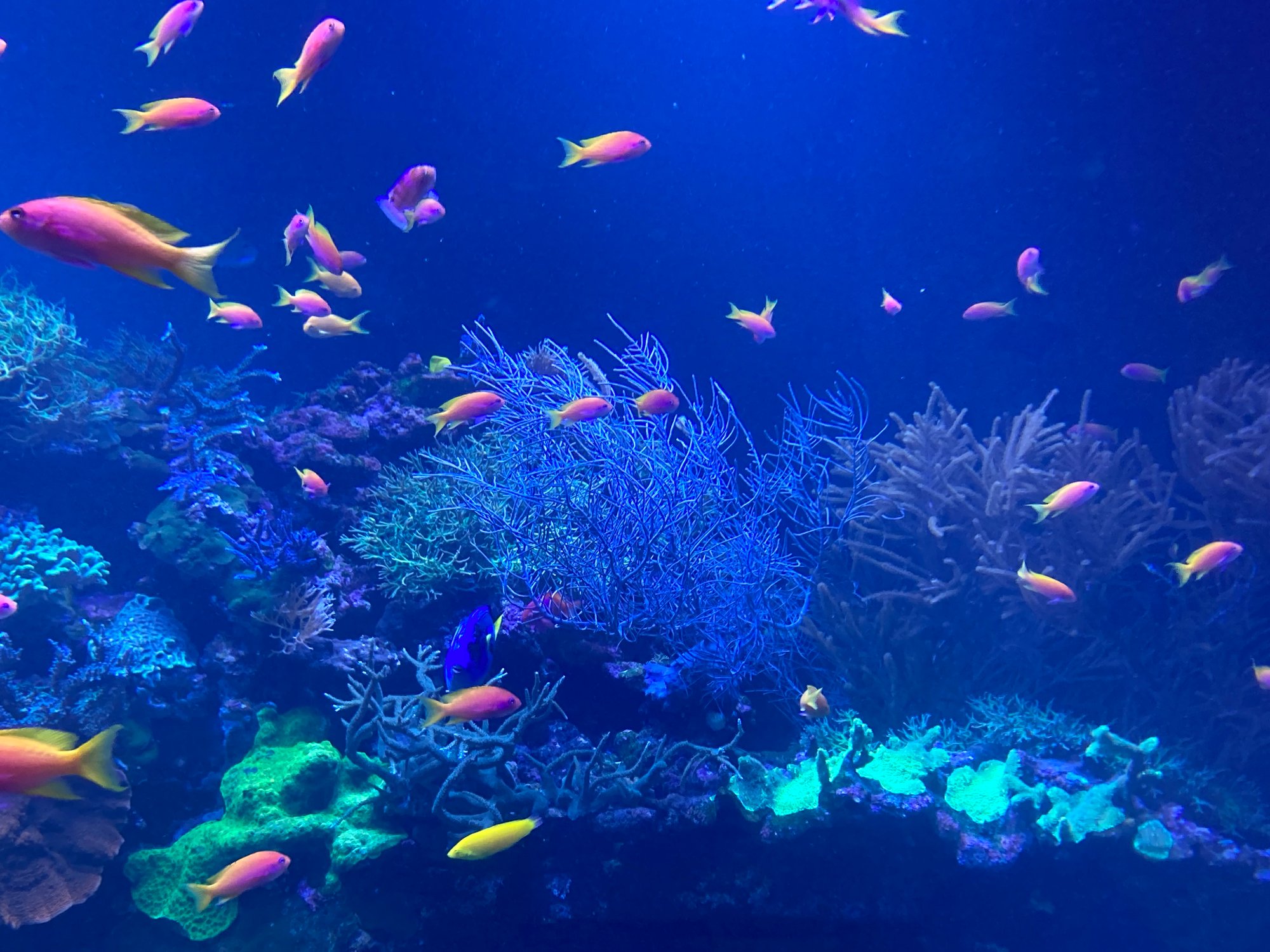 Mein Motto für 2024: Es ist, was es ist.