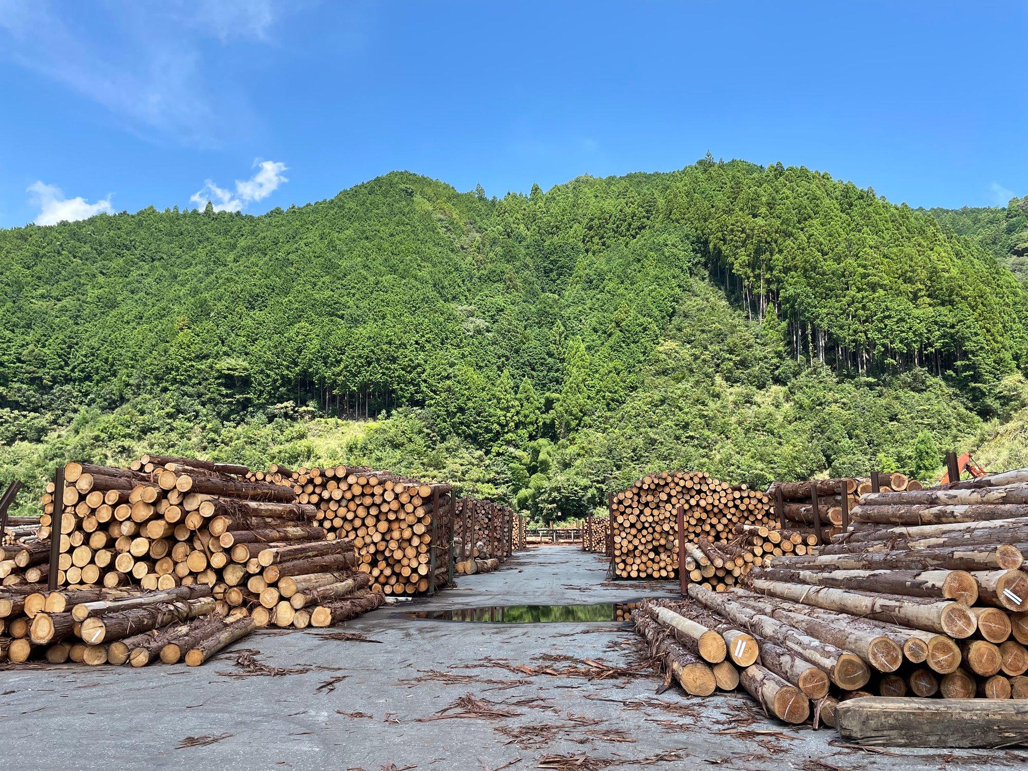 テレビで紹介されます。