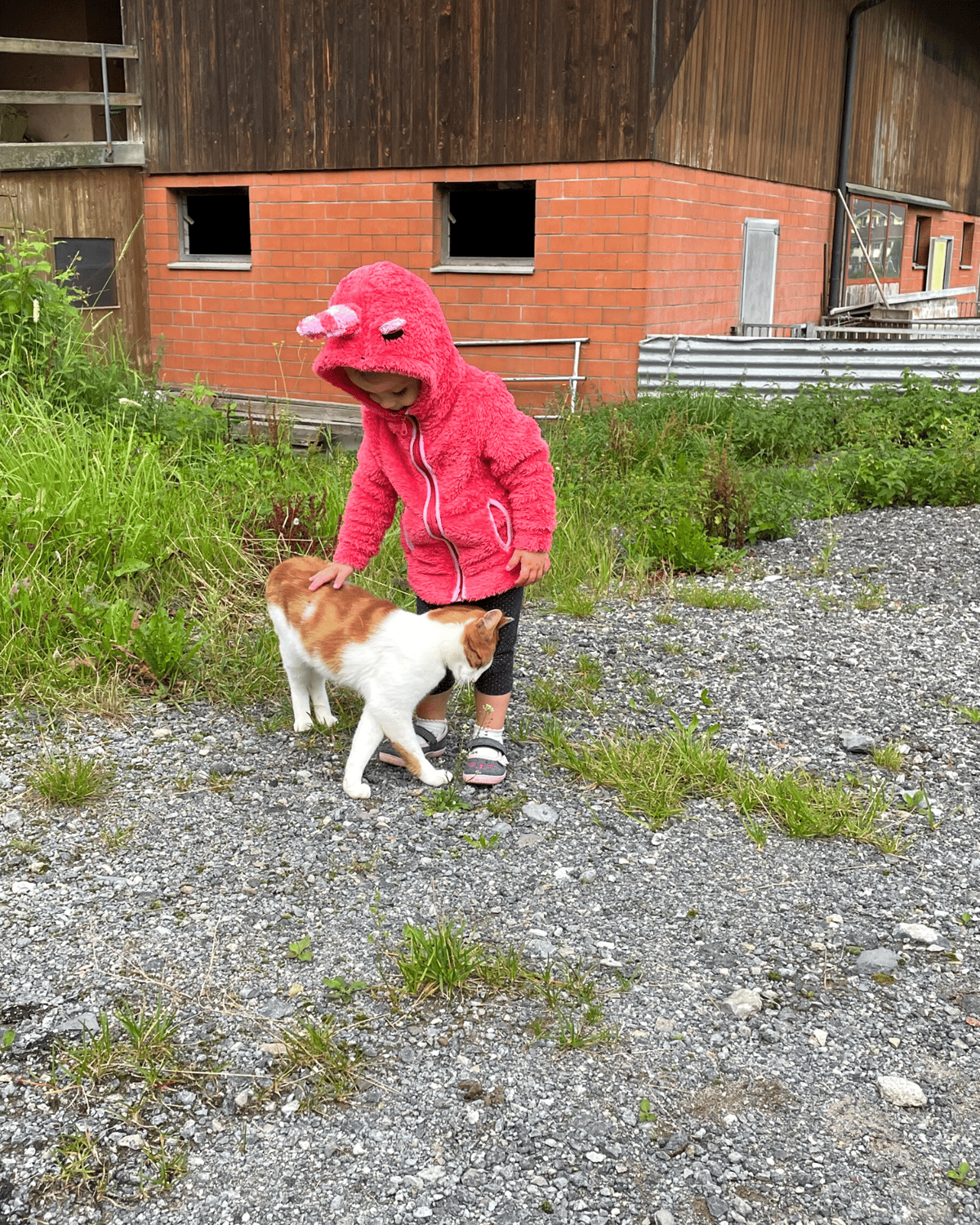 Bauernhof Spaziergang