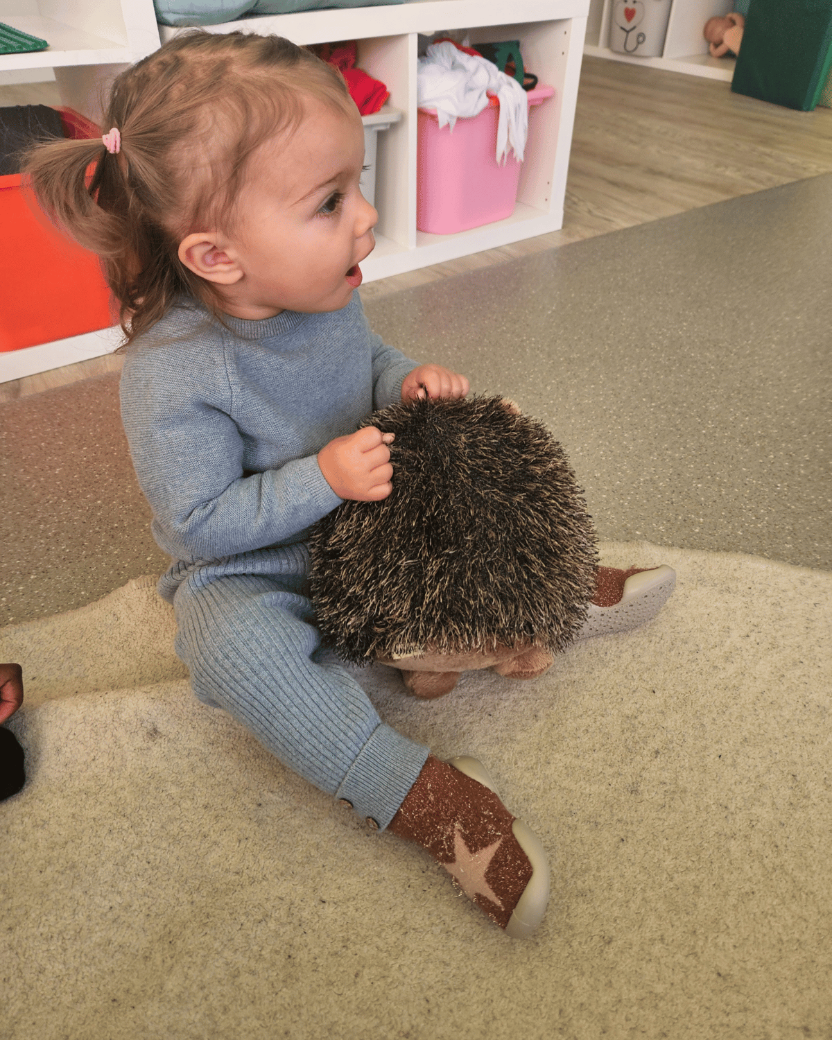 Hallo kleiner Igel, zeig mir deinen Lebensraum…