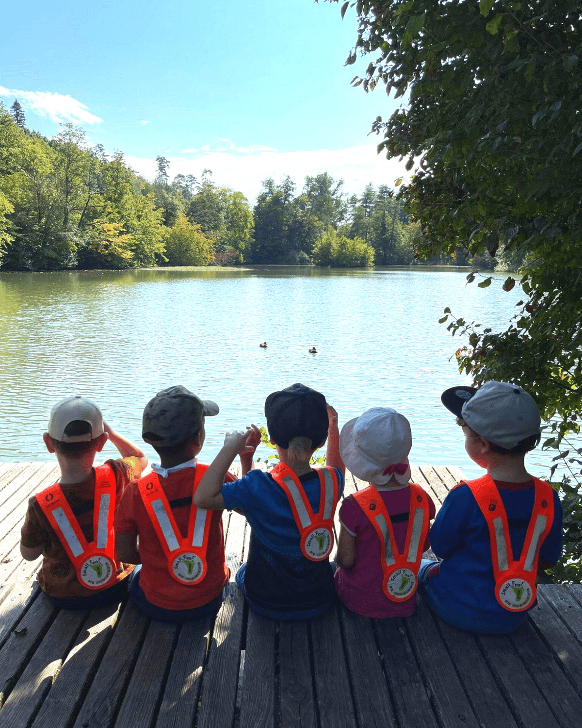 Spaziergang zum Enten-Teich