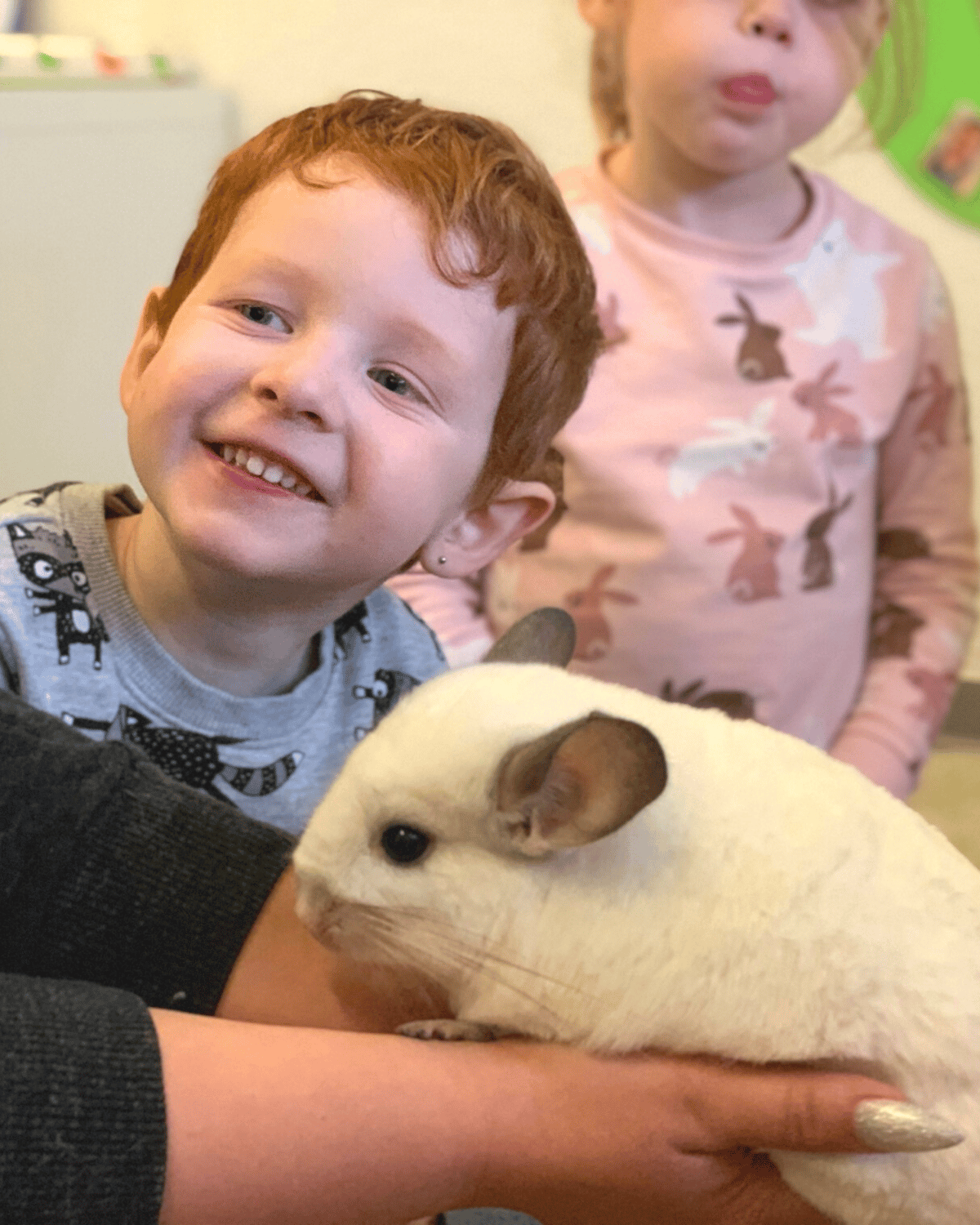 Achtung, fertig, Chinchilla!