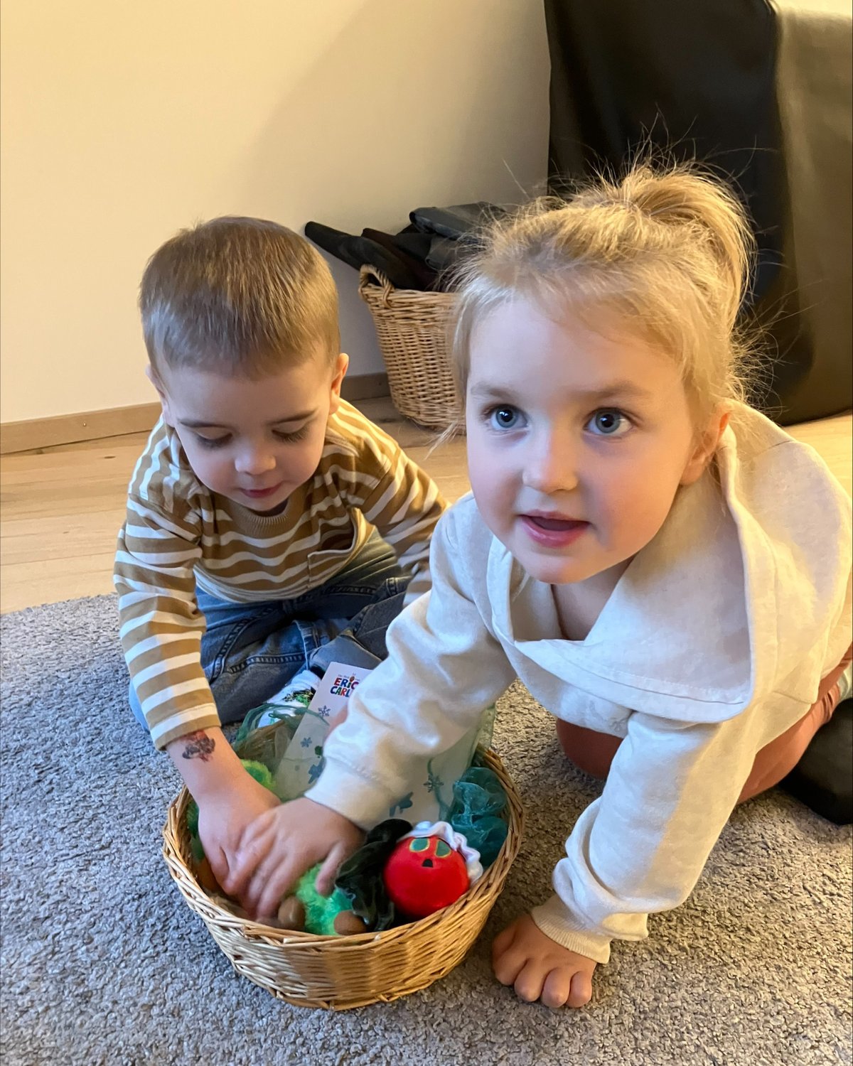 Raupe Nimmersatt im Winter