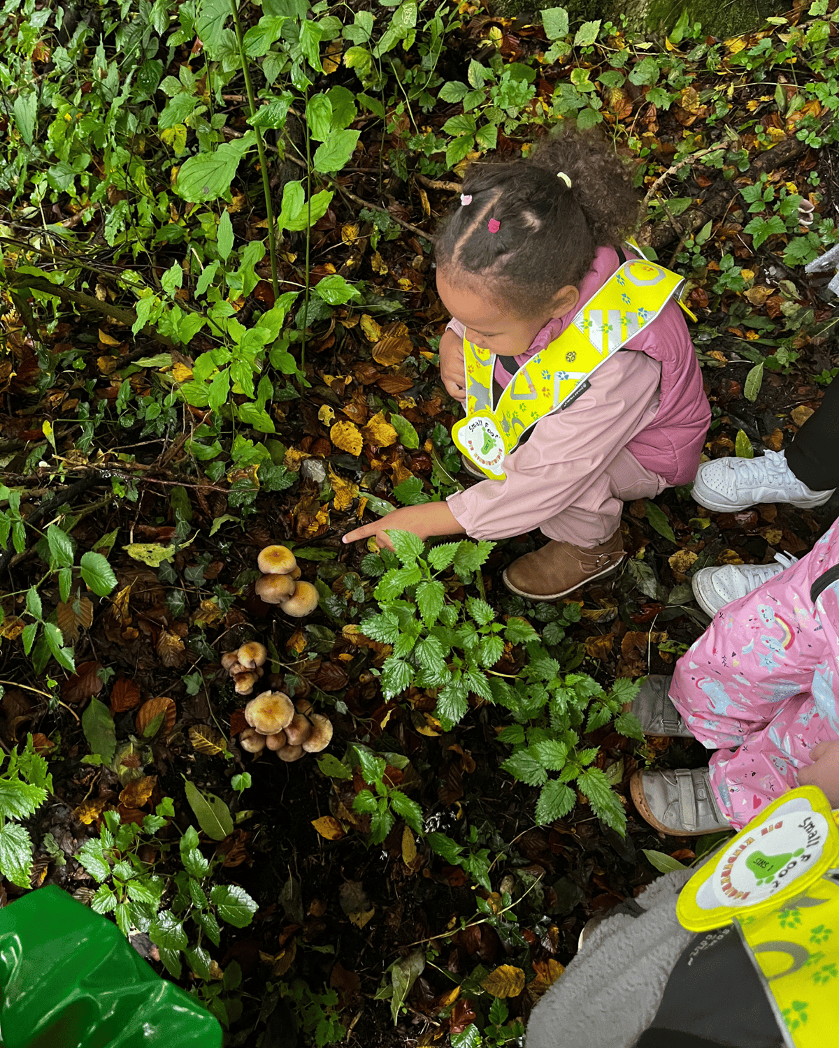 Unser Abenteuer mit den Pilzen im Wald!