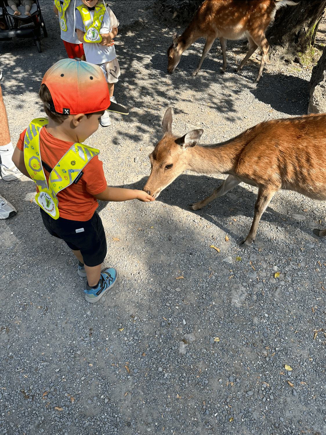 Ausflug zum Tierpark Goldau