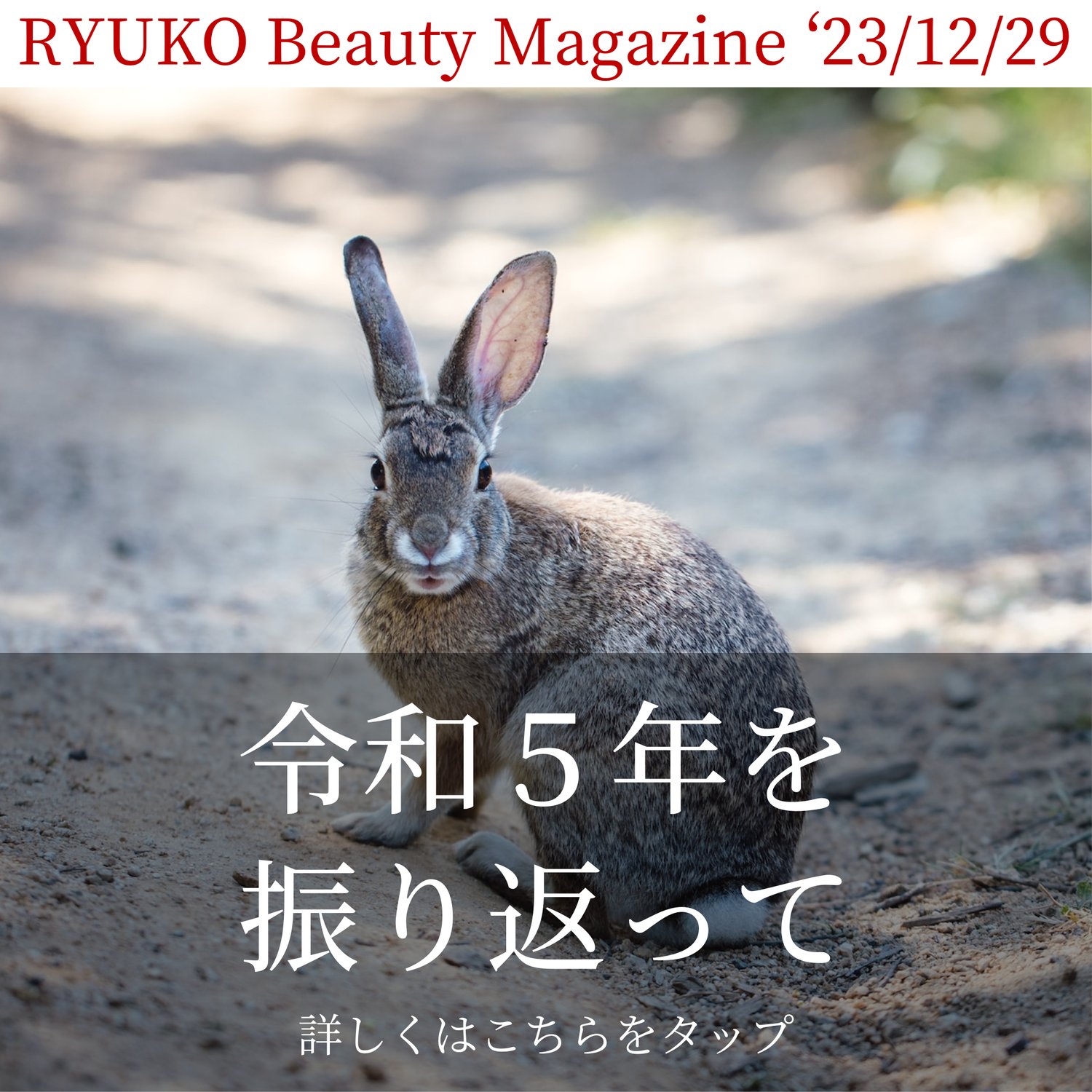 令和５年を振り返って