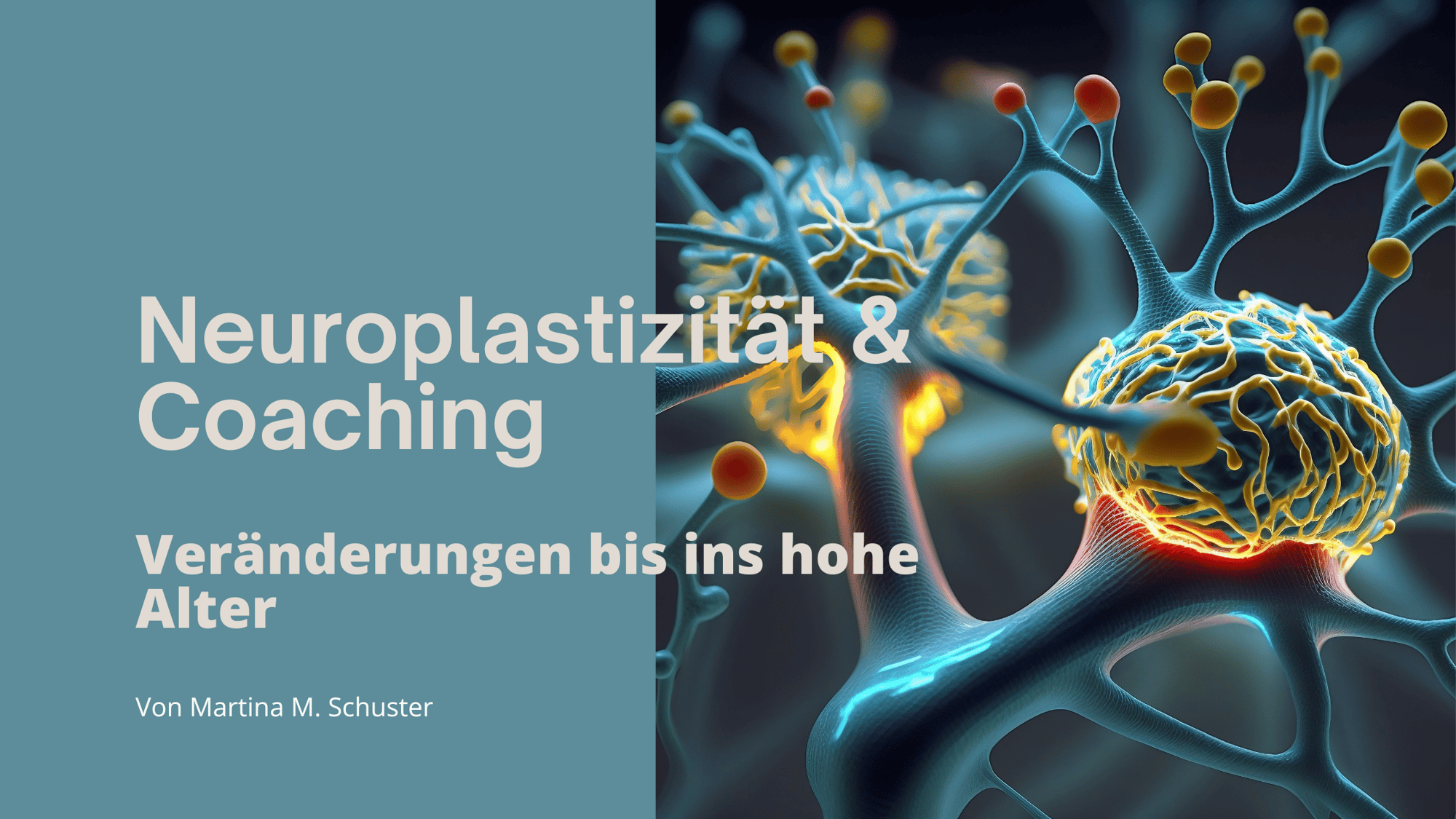 Neuroplastizität und Coaching