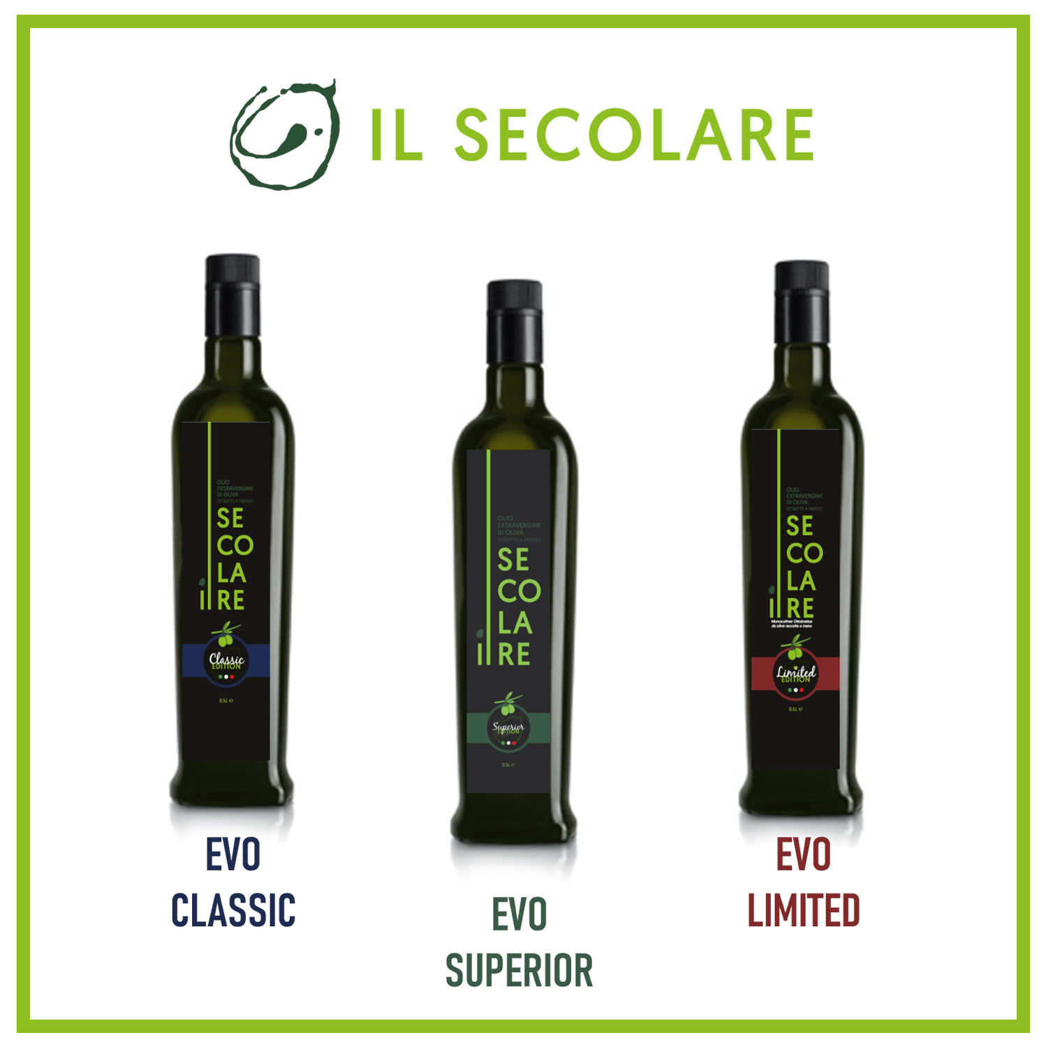 LE VARIETA' DI OLIVE