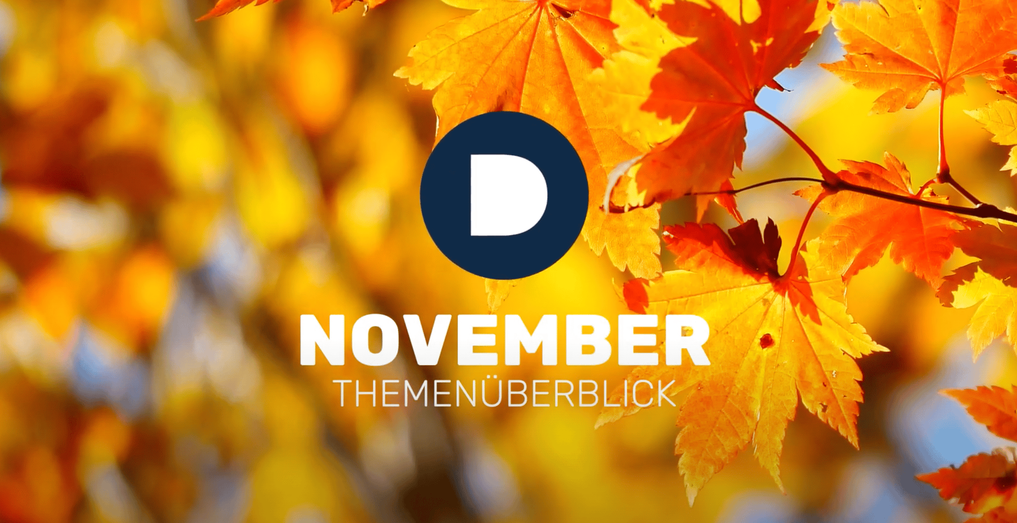 Demuth Arbeitsrecht Potsdam im November: Ein Themenüberblick