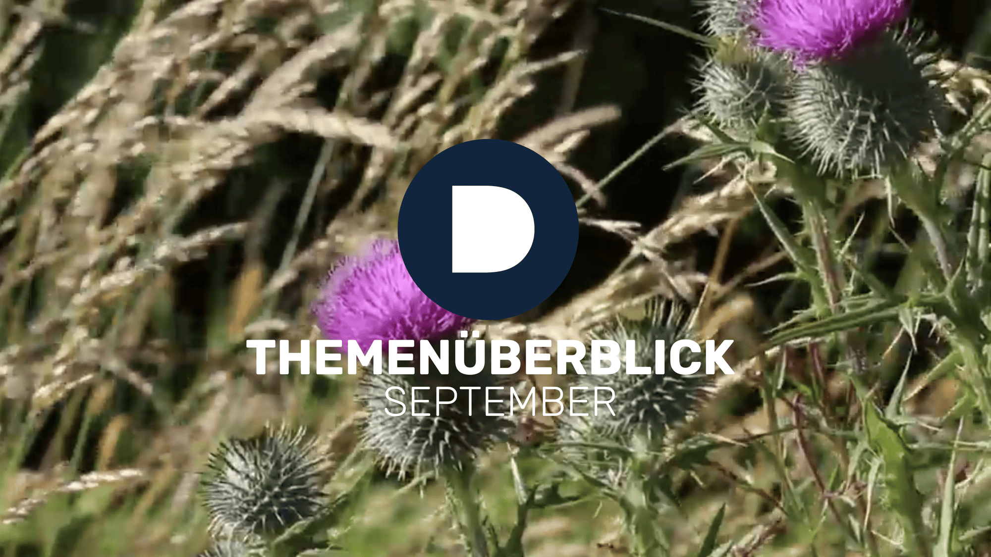 UND SCHON SIND WIR IM SEPTEMBER – UNSERE THEMEN IM ARBEITSRECHT: