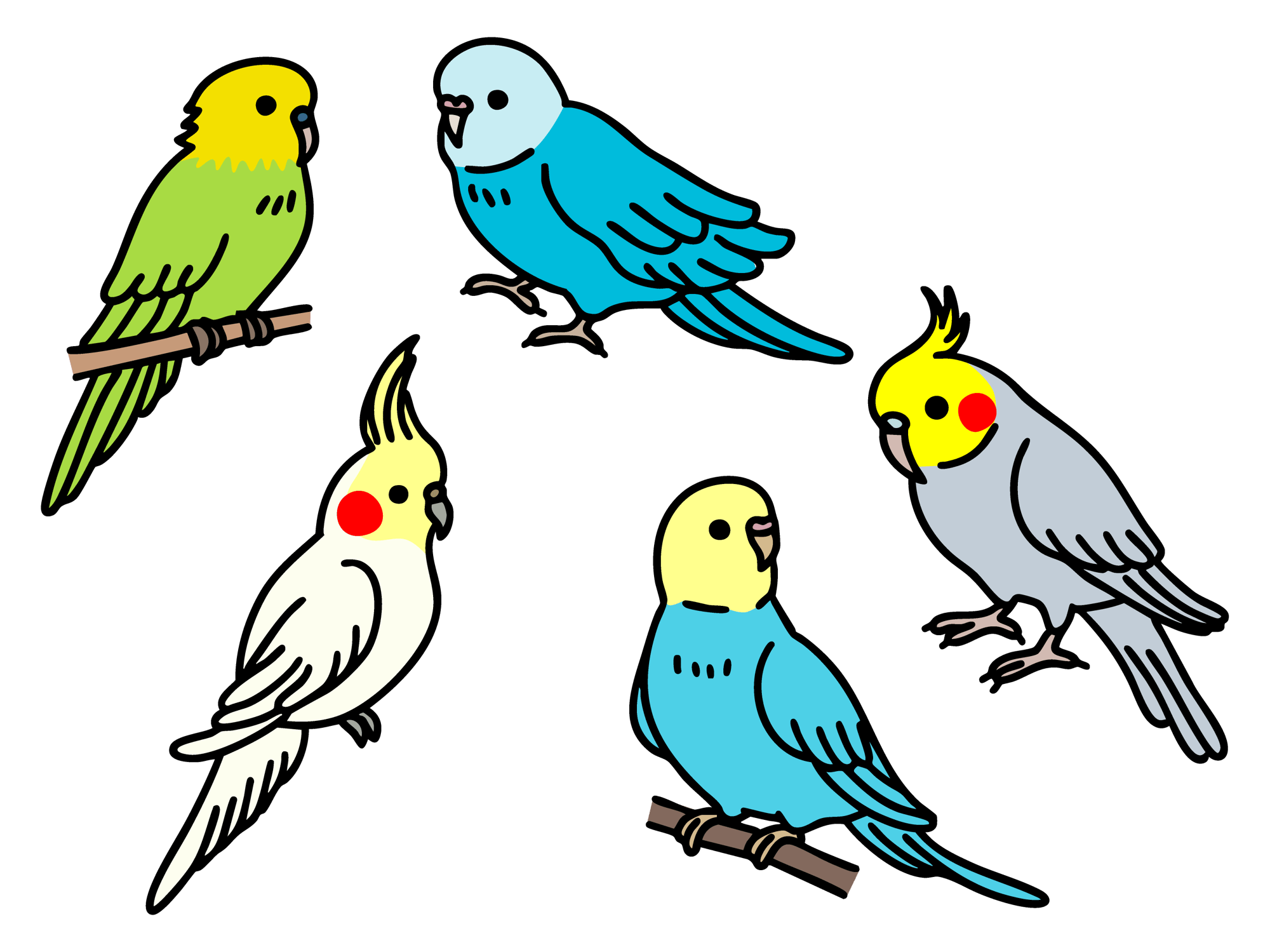 インコ脱走事件【前編】