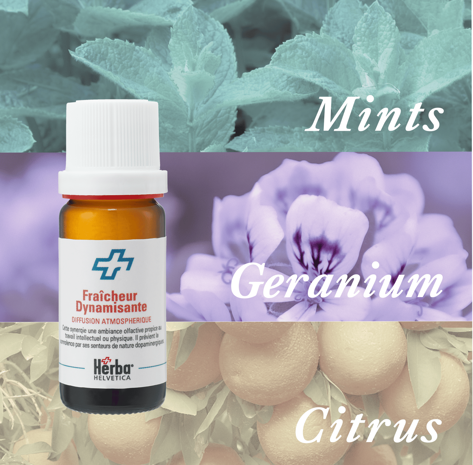 蒸し暑いお部屋にフレッシュな香りを