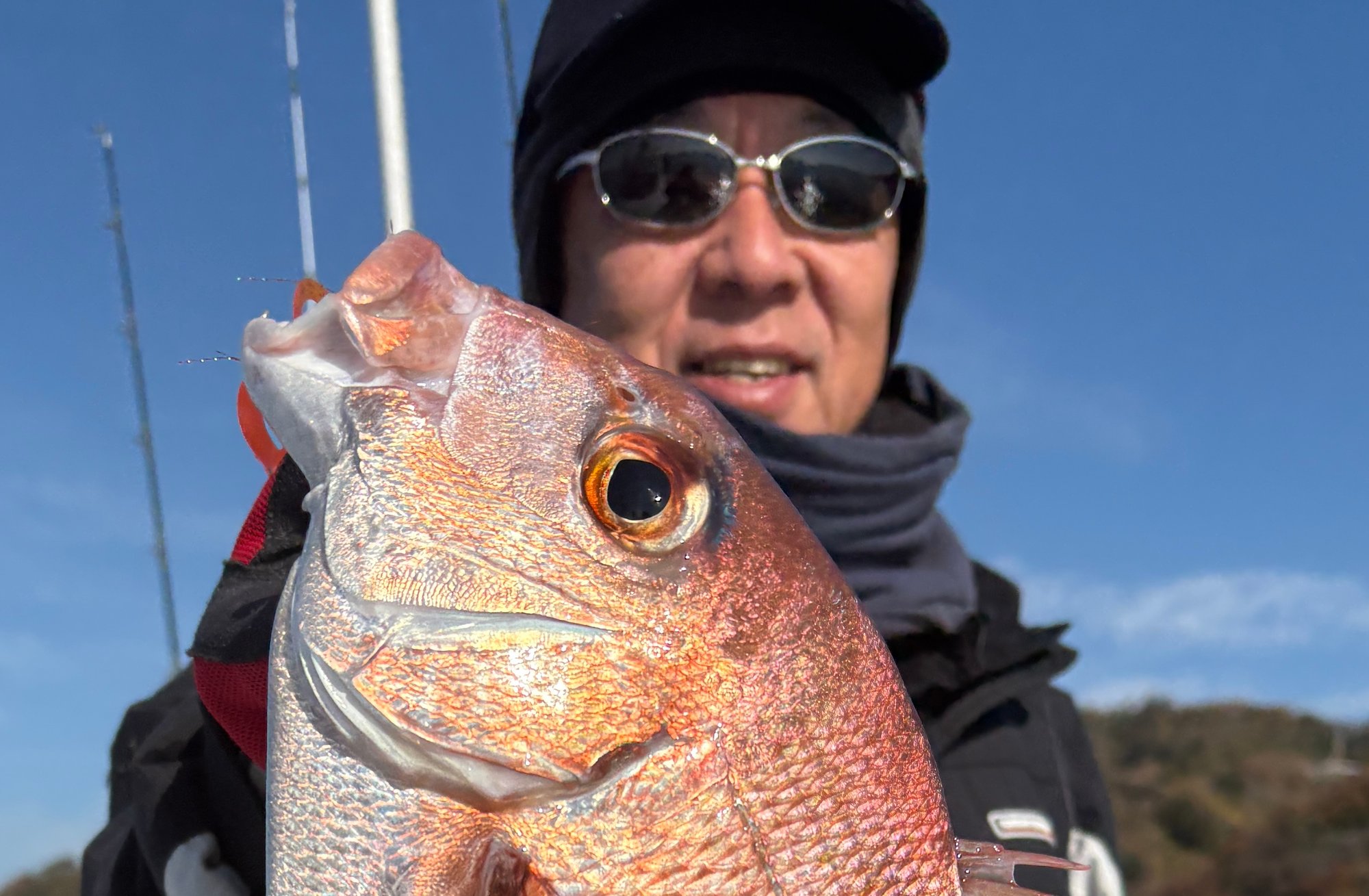 12月19日　鯛＆青物　釣果