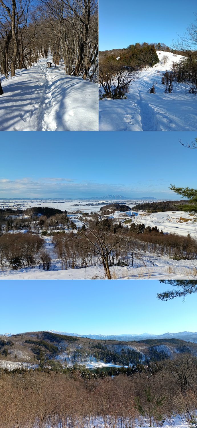 地元低山ハイク(雪山を歩く)