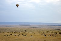 バルーンサファリ