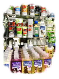 HUNDEPFLEGE ZOO KELLNER