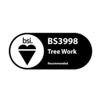 BSI Tree Work BS3998 accreditation logo.