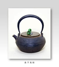 秦蔵六 翡翠摘刷毛目鉄瓶｜森下美術