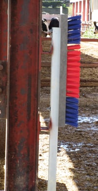 カウブラシ（固定式）