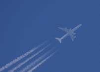 Combien de CO2 absorbe un arbre en comparaison d'un voyage en avion ?