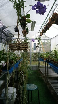 温室新築工事＠奈良県北葛城郡広陵町