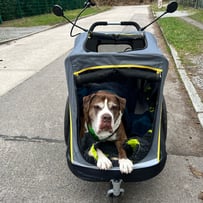 Foto © C. Scheiblich