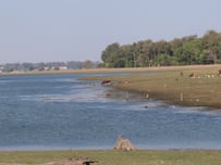 Wildlife sanctuary near Kalasin, eastern Thailand