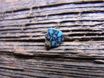 ランダーブルーターコイズ