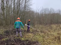 Weißdornschnitt im NSG Lanker See (Foto: NABU/Antje Seebens-Hoyer).