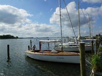 Oderhaff - Achterwasser - Peenestrom