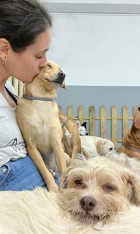 Guardería de día Madrid