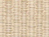 清流15　白茶色