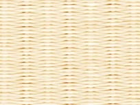 清流10　乳白色