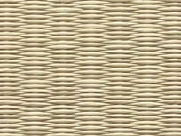 清流16　若草色