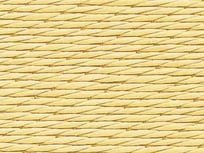 綾波02　黄金色