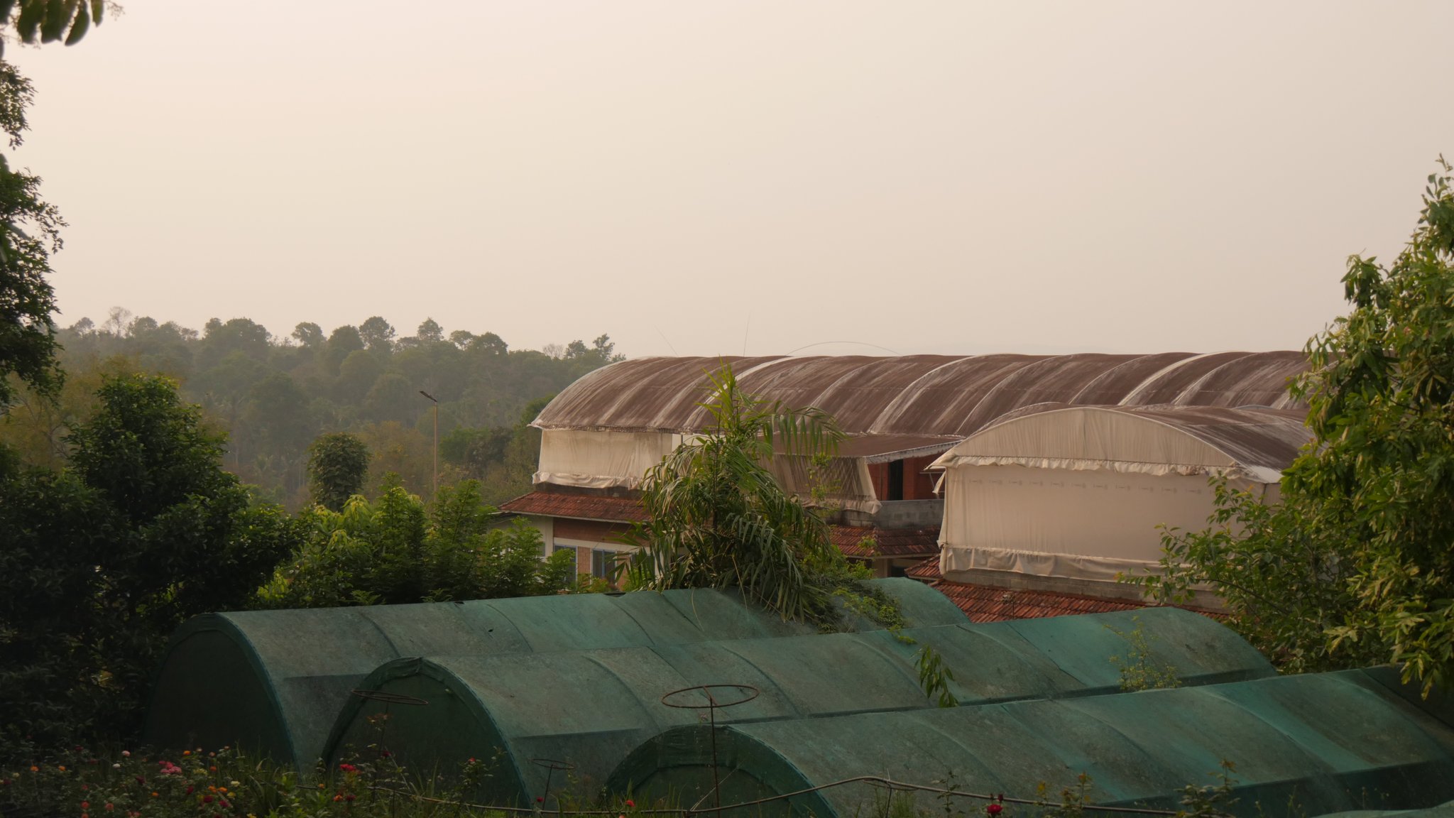 Abenddämmerung auf dem Vanamoolika-Gelände