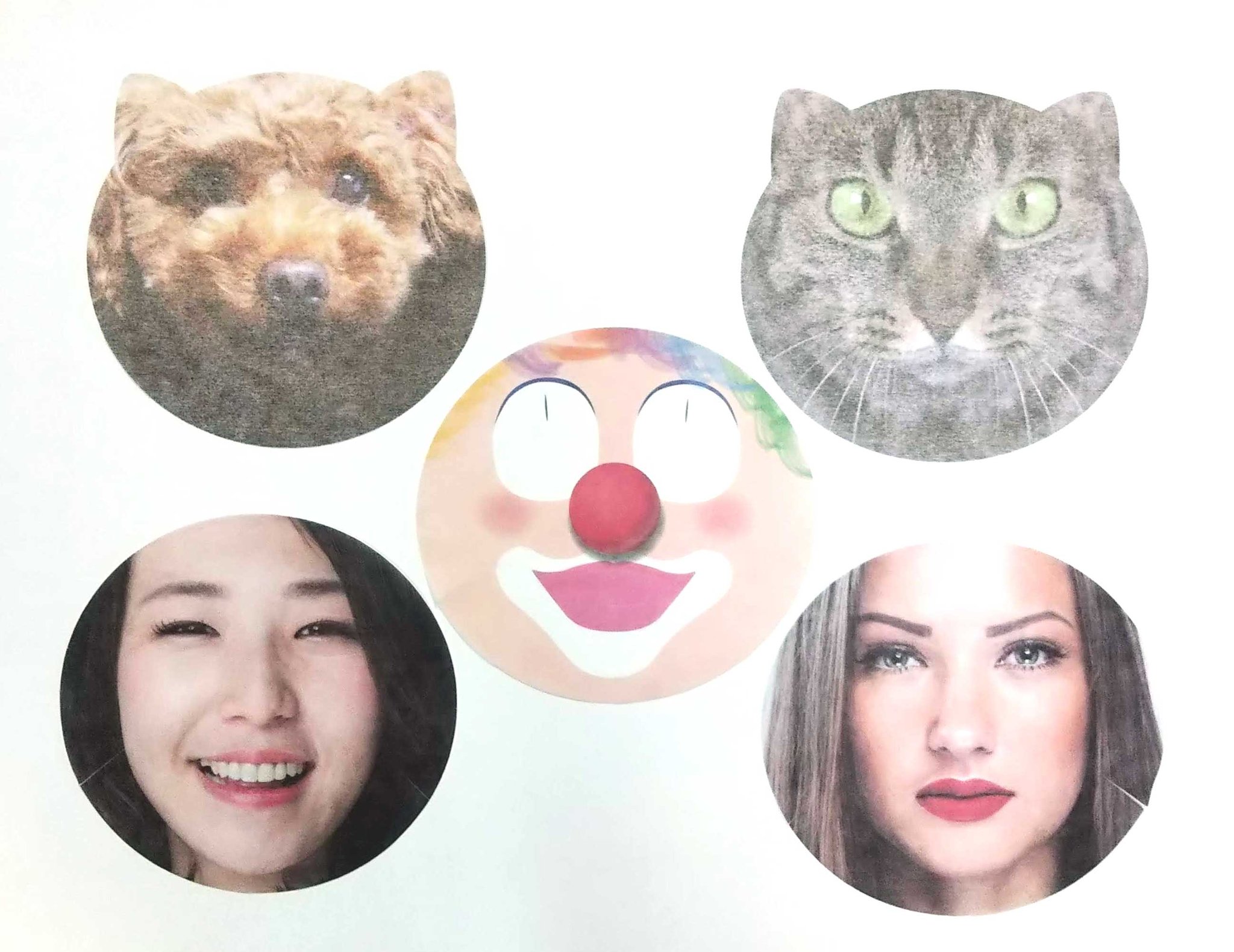 多品種展開がお得！