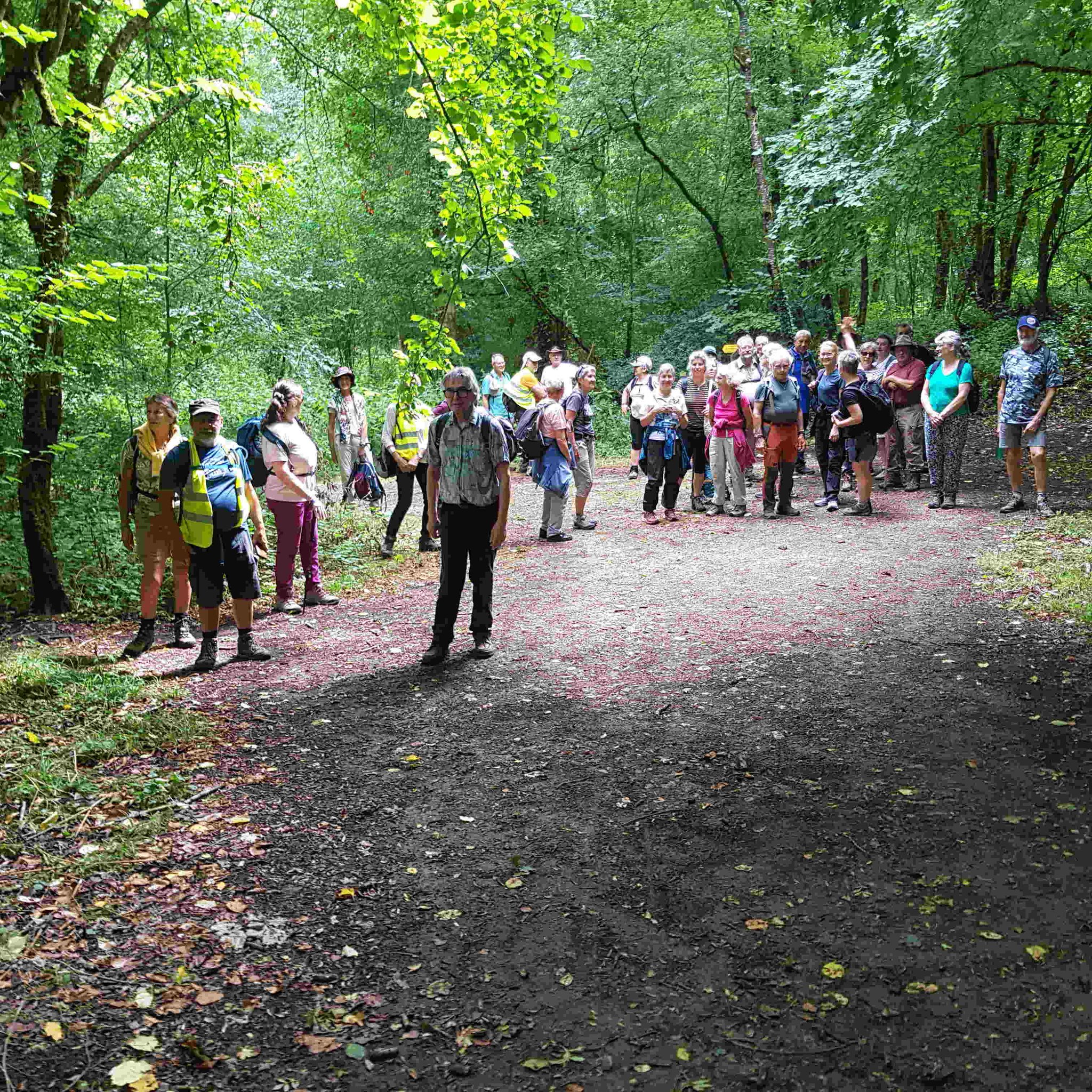 Le groupe de marcheurs